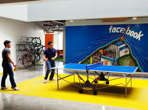 裝點Facebook辦公區(qū) 以文化藝術(shù)展現(xiàn)企業(yè)精神與人文交流